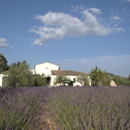 Villa Otilia Rians  Esterno foto