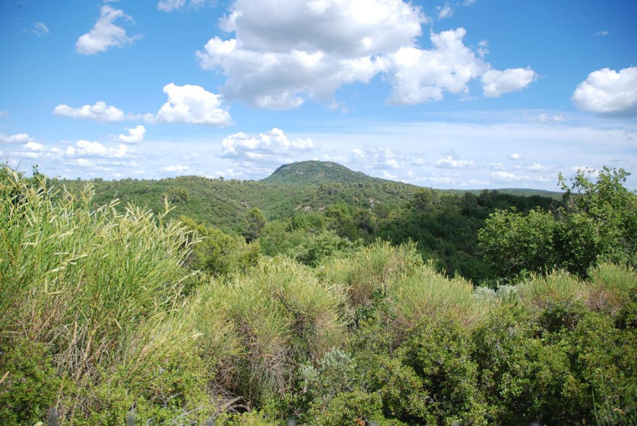 Villa Otilia Rians  Esterno foto