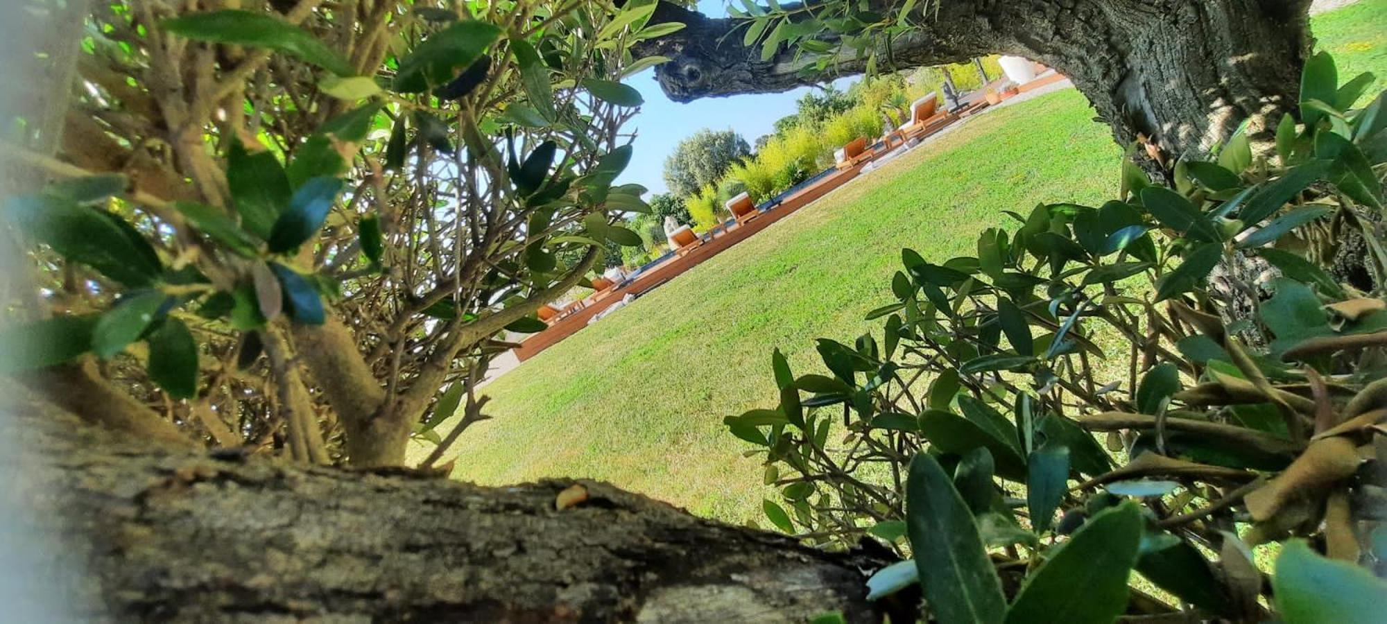 Villa Otilia Rians  Esterno foto